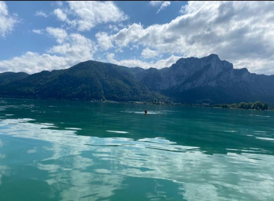 Die Feelgood-Wohnung Am Mondsee Eksteriør billede